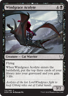 WindgraceAcolyte