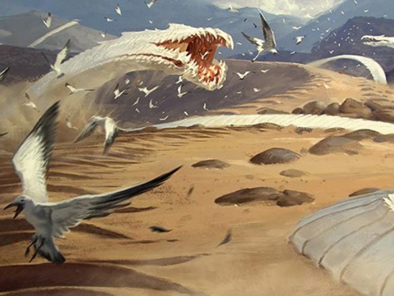 Sandwurm-Convergence-1