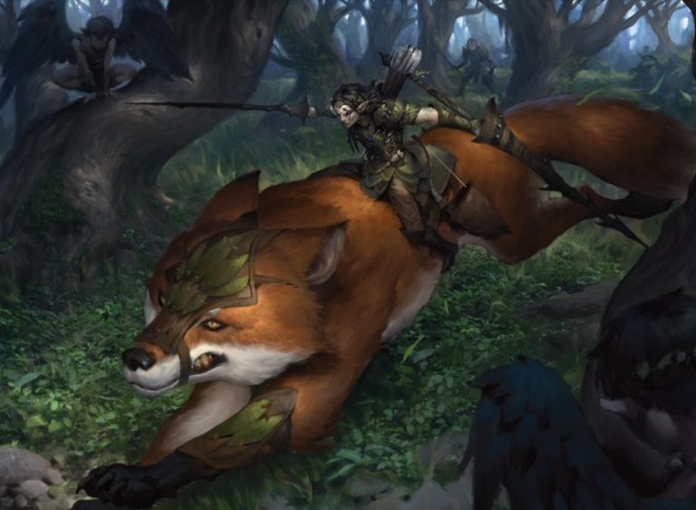 Wild1
